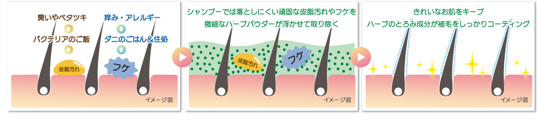 ハーブパックとは 株式会社ユーリカ